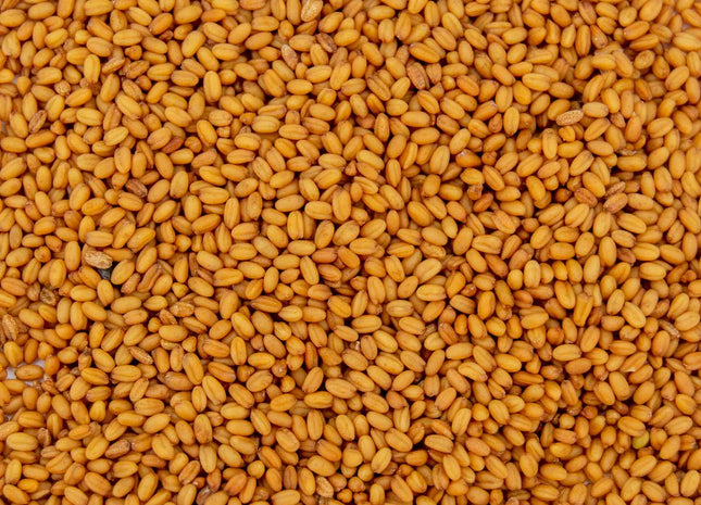Winter Camelina