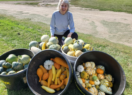 Milpa Garden Warm Season