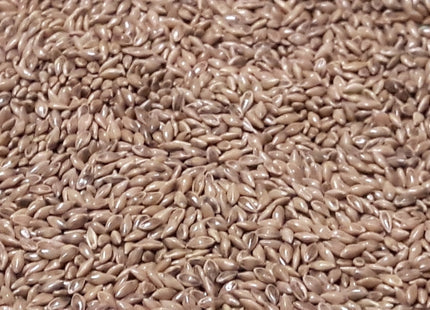 Switchgrass (RC Big Rock)