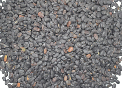 Forage Soybeans (Laredo)