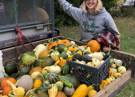 Milpa Garden Warm Season