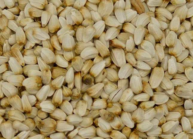 Safflower (Baldy)