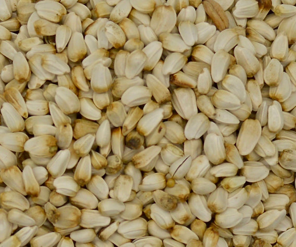 where to buy safflower seeds for planting Safflower (Baldy) – Green Cover