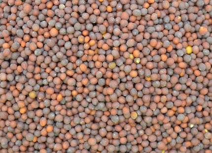 Florida Broadleaf Mustard