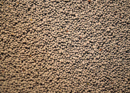 Alsike Clover - OMRI Inoculated