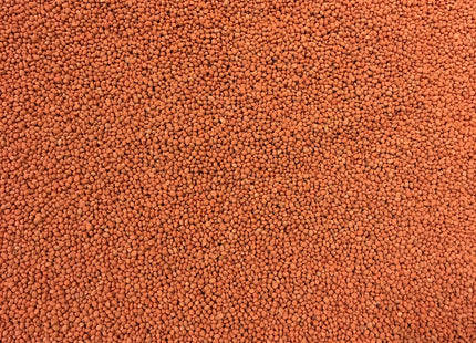 Balansa Clover (Fixation)- OMRI Inoculated