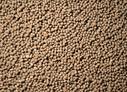 Berseem Clover (Frosty) - OMRI Inoculated