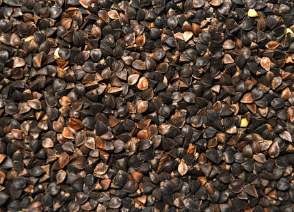Organic Mancan Buckwheat