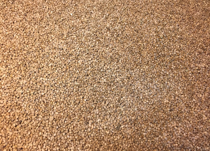 Japanese Millet