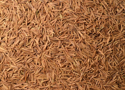 Meadow Brome (Fleet)