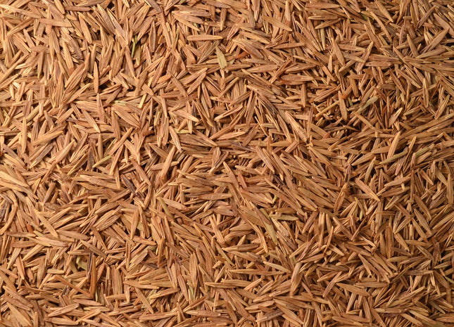 Meadow Brome (Cache)