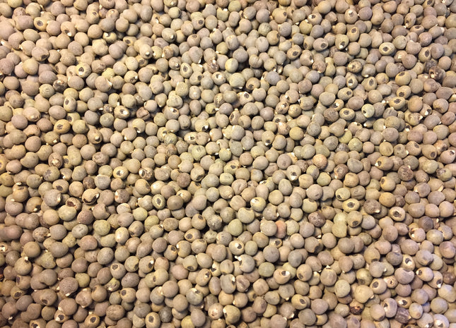 Okra (Clemson Spineless 80)