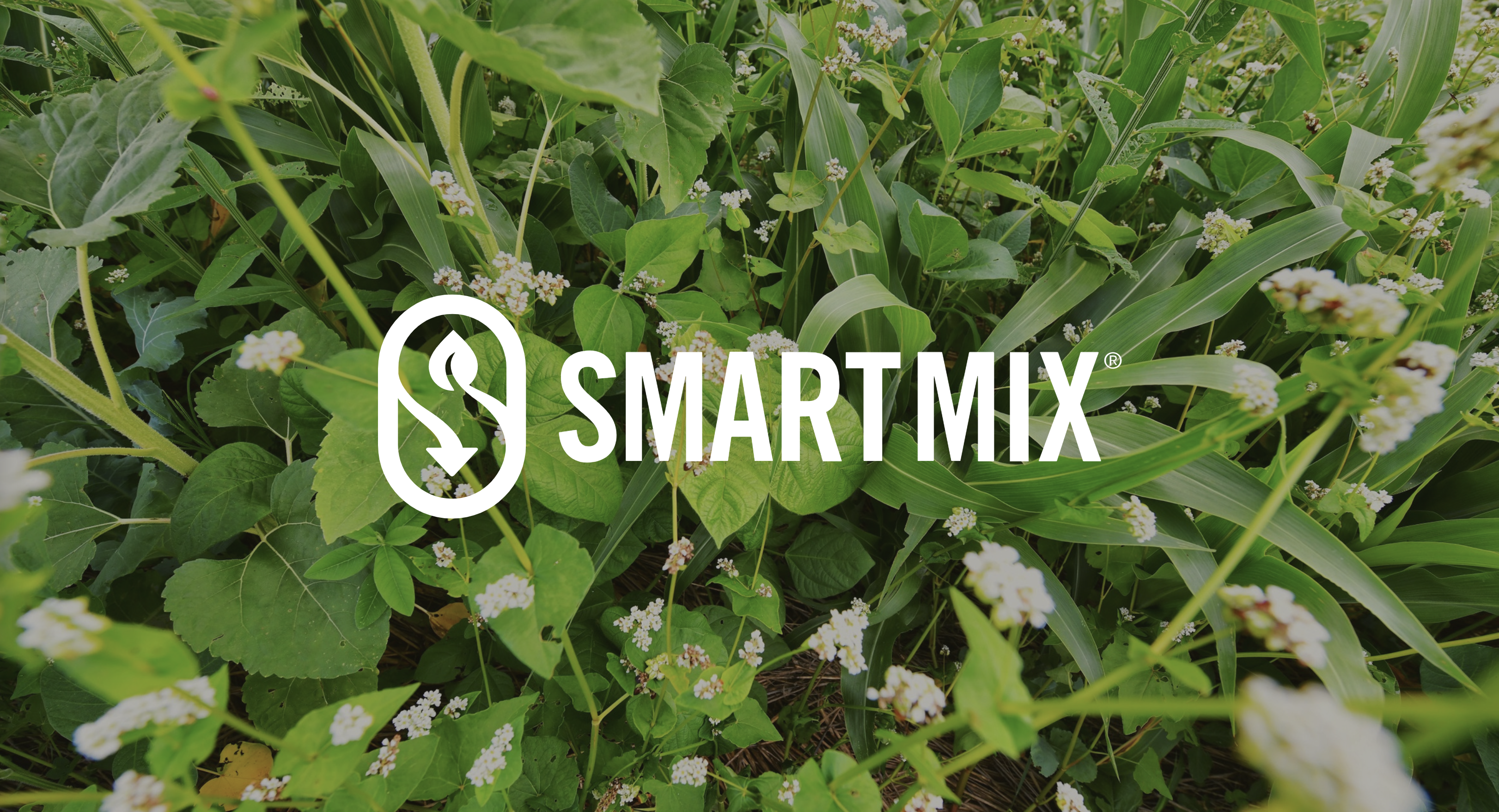 SmartMix Calculator Update