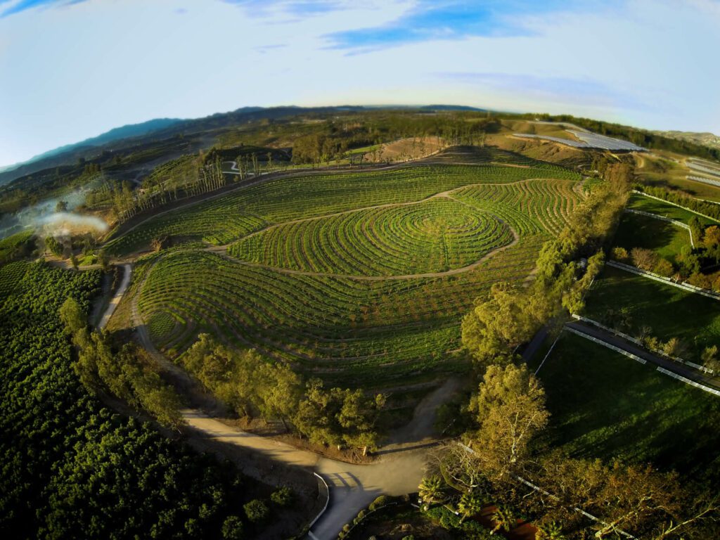 Aerial view of Apricot Lane farms. Orchards curve around an opening of crops on the farm. There is immense biodiversity between various trees, native species, fruits, flowers, and vegetables.
