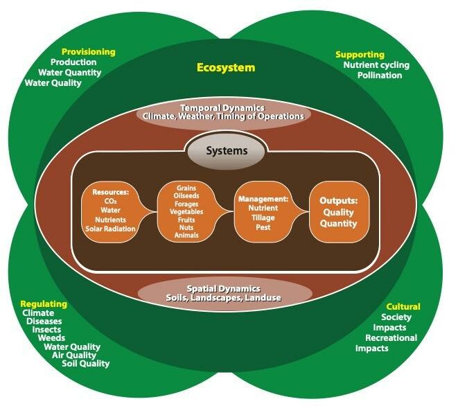 Illustration showing the complex interactions between ecosystem services and farming