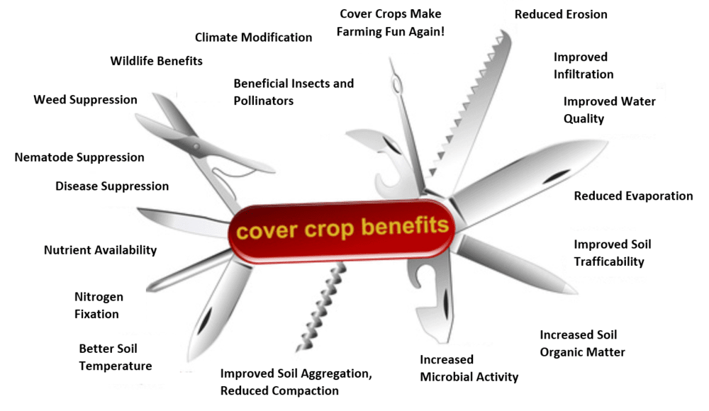 image of a swiss army knife labeled with the benefits that come from cover crops