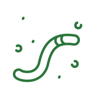 earthworm-habitat