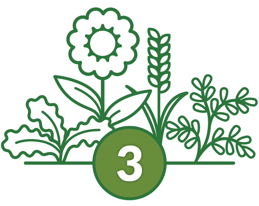icon of diverse growing cover crop plant species