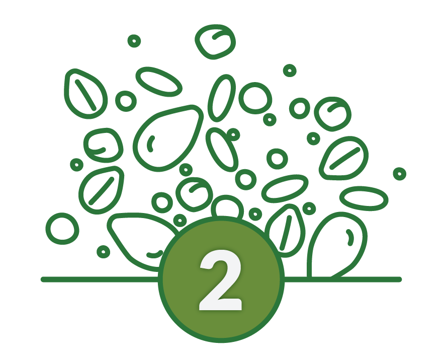 icon of diverse seed species