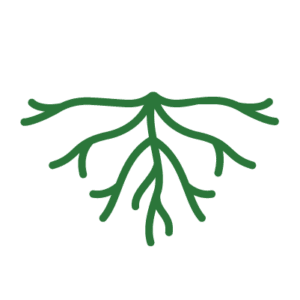 keep a living root in the soil icon