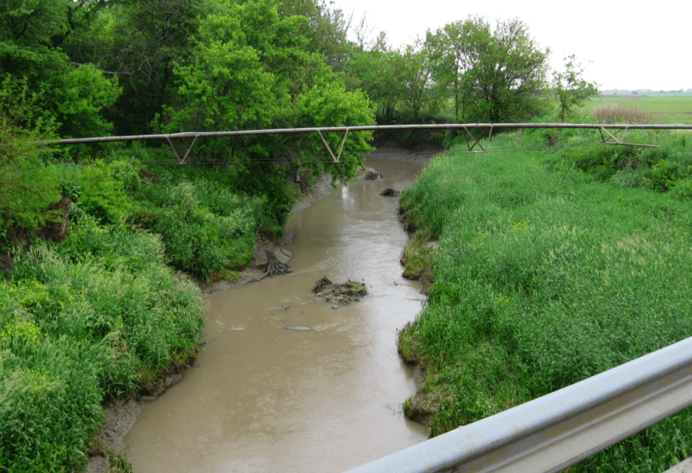 picture looking at the banks of the restored shell creek with its improved water quality.