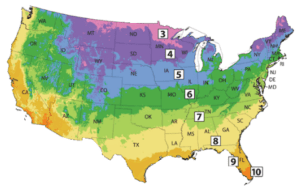 A map showing USDA hardy zones. Knowing your context will help you choose the right cover crop mix and planting times for your soil health goals.