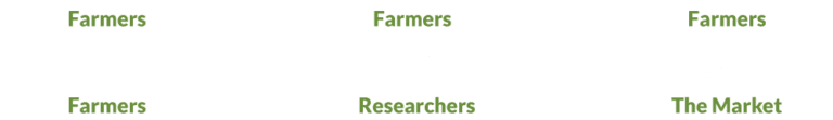 Graphic showing Farmers connecting to other farmers, researchers, and the market