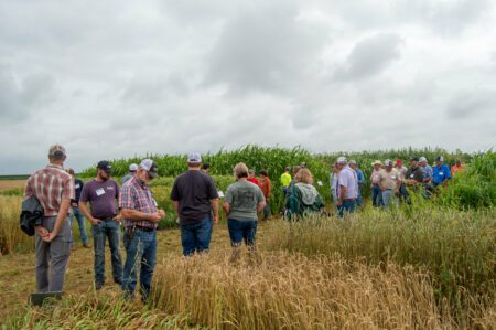 Guests observe cover crops at Green Cover Soil Health Field day