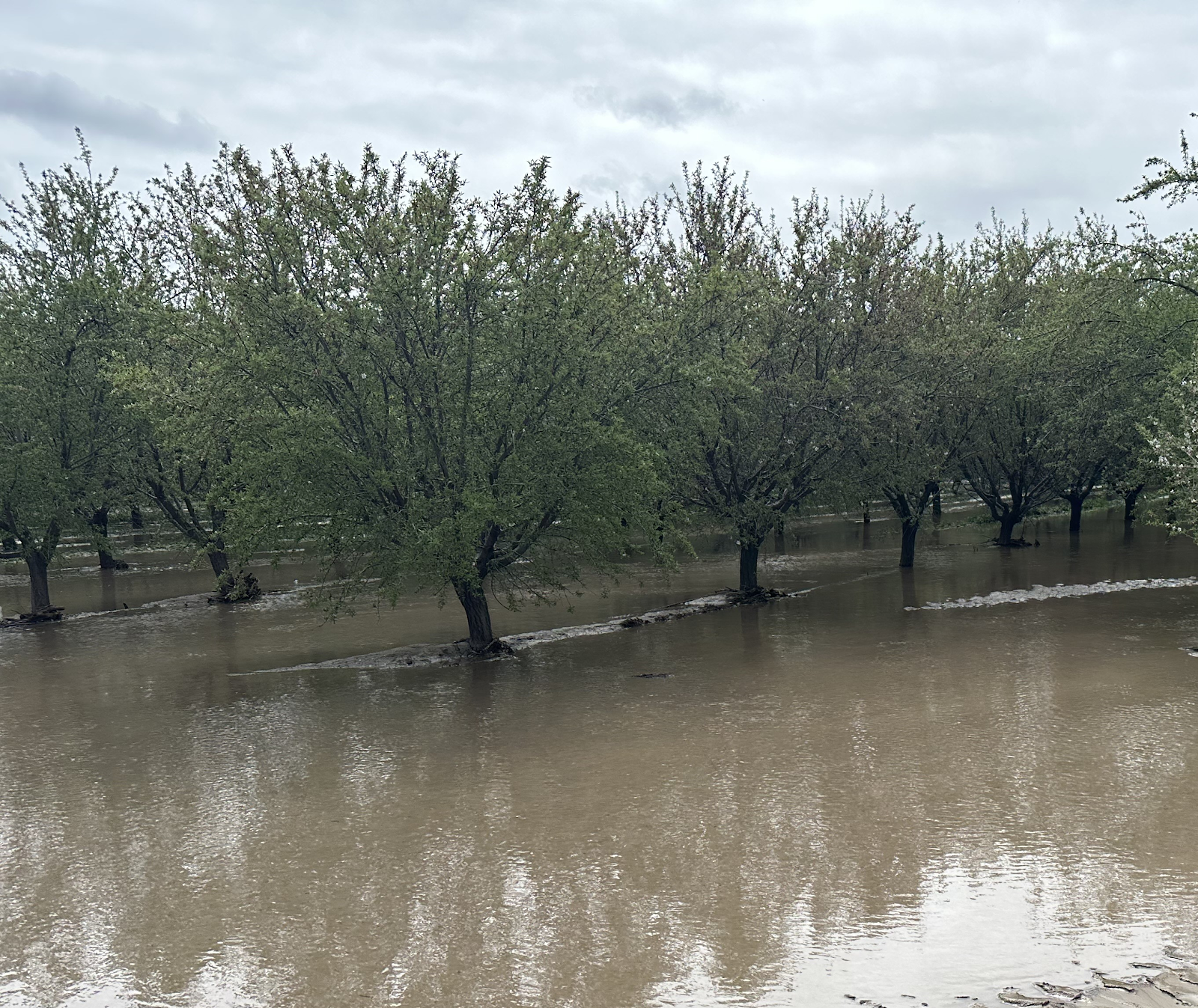 Flooded creek