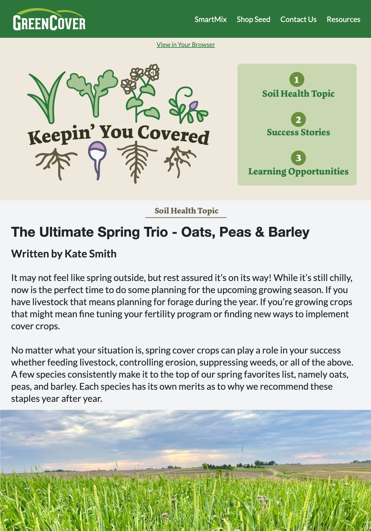 Green Cover Keepin You Covered Newsletter February 13 2025