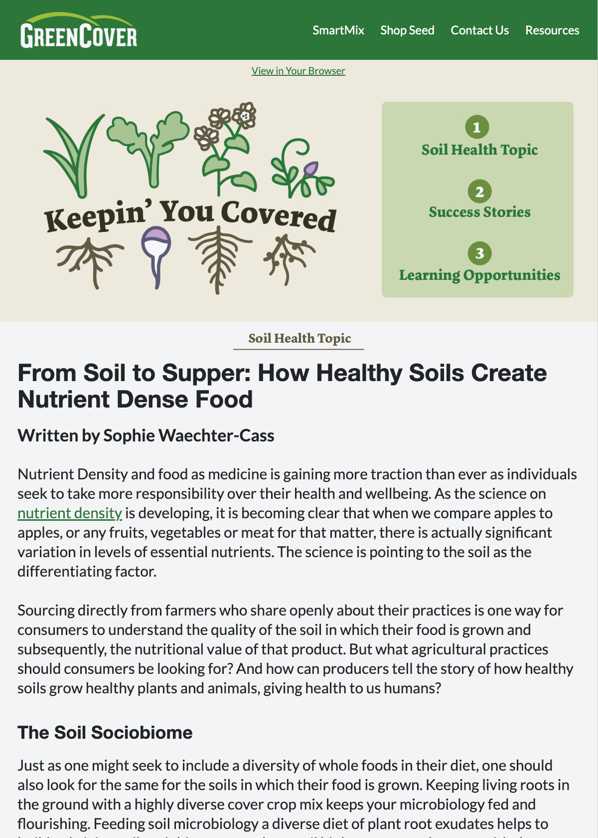 Green Cover Keepin' You Covered Newsletter Feb 20