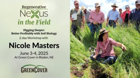 Nexus in the field V2 1