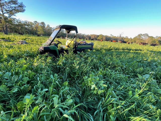 Plan Your Ultra-Diverse Spring Cover Crop Mix to Build Resiliency This Year