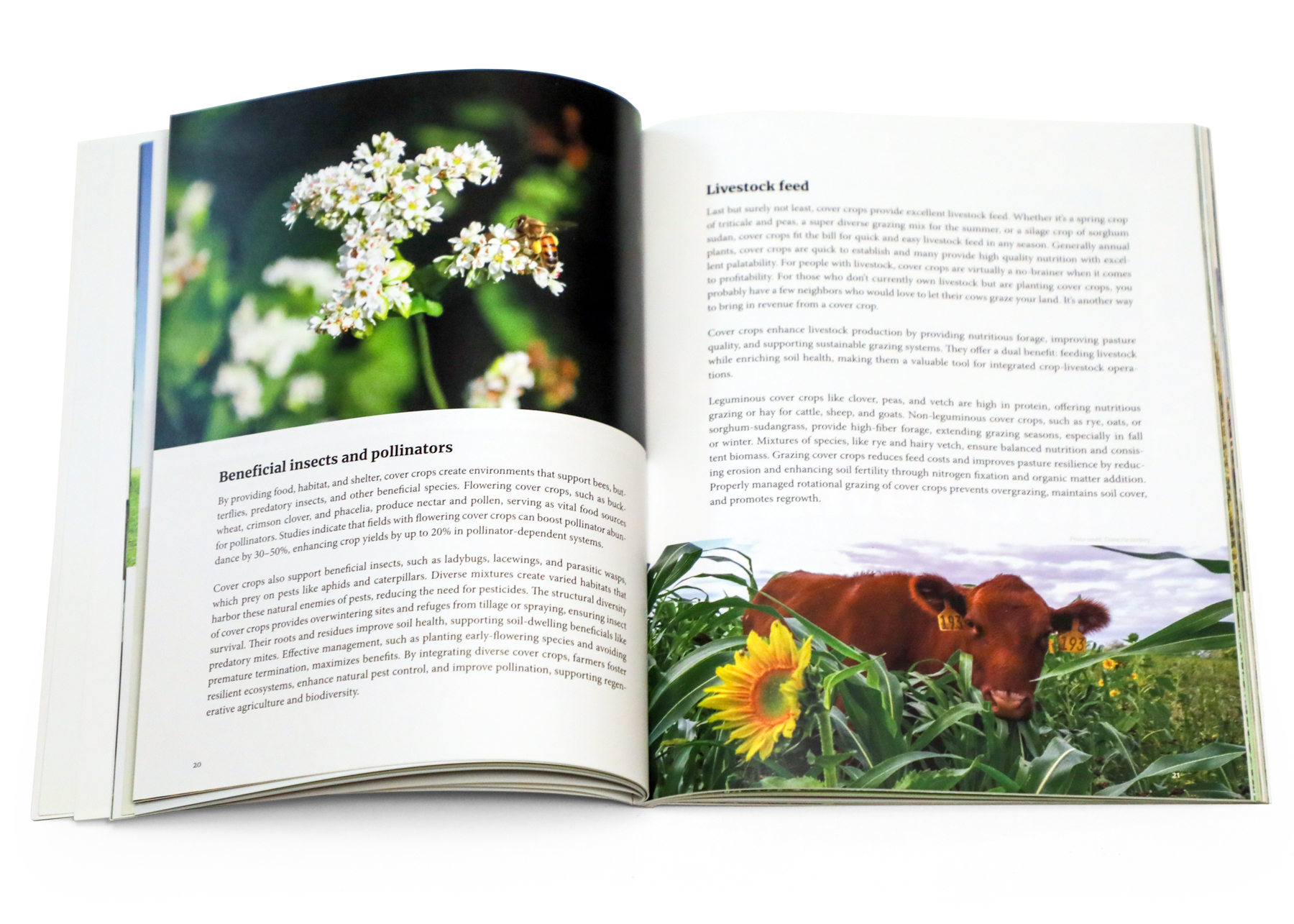 cover crops 101 book by green cover open